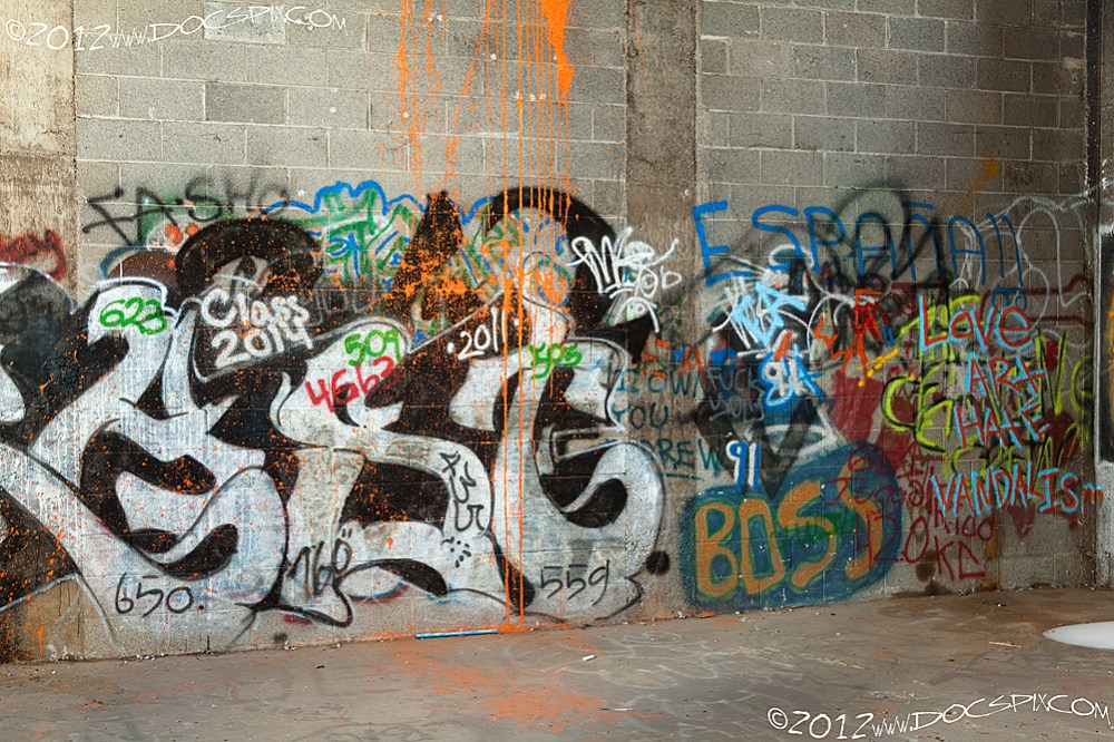 The west-north-west wall of the second floor office/lab. 