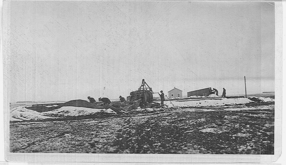Unidentified workers digging a trench. 
