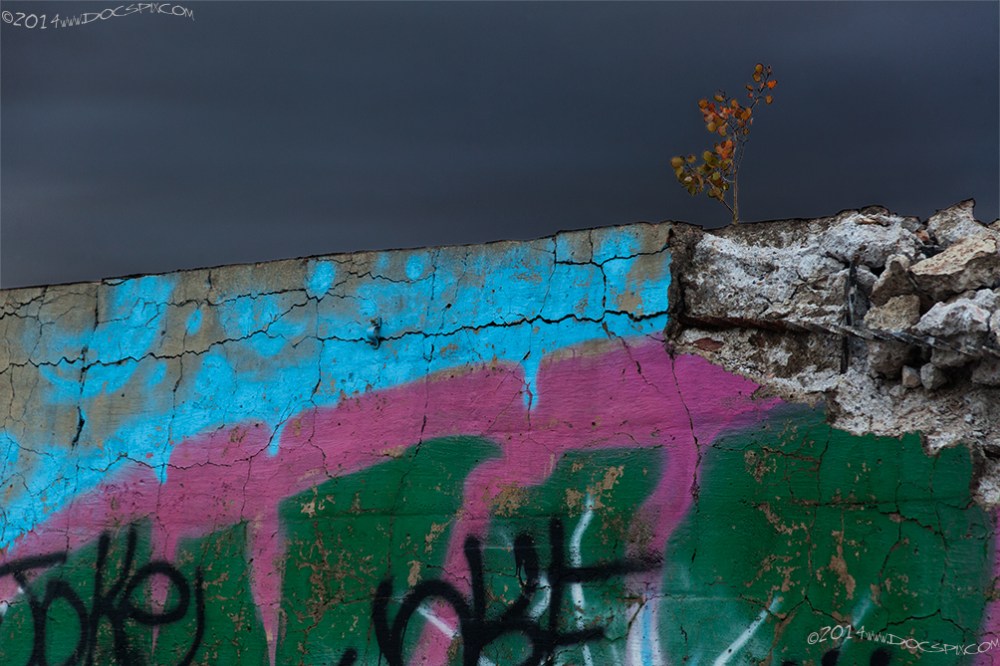 LMWR_ESB_TDetail_11Sep14